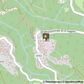 Bar e Ristoranti - Arredamento Faggeto Lario,22020Como
