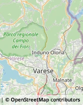 Agenzie di Animazione e Spettacolo Marchirolo,21030Varese