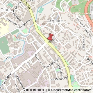 Mappa Viale Montegrappa, 10, 23900 Lecco, Lecco (Lombardia)
