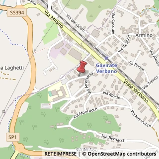 Mappa Via dei Gelsomini, 1, 21026 Gavirate, Varese (Lombardia)
