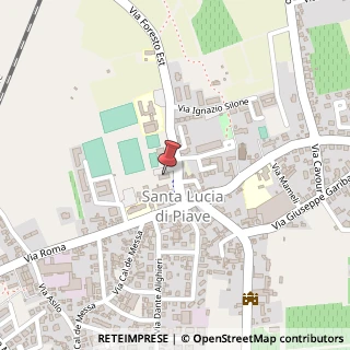 Mappa Via Foresto Est, 1, 31025 Santa Lucia di Piave, Treviso (Veneto)