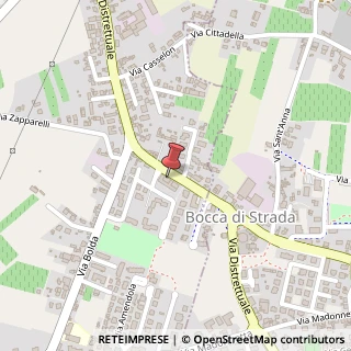 Mappa Via Distrettuale, 164, 31025 Santa Lucia di Piave, Treviso (Veneto)