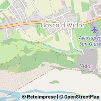 Carte Vidor