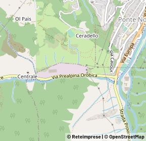 Mappa 24020 Ardesio BG, Italia (0.65385)