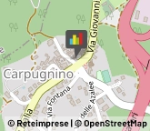 Erboristerie Brovello-Carpugnino,28833Verbano-Cusio-Ossola
