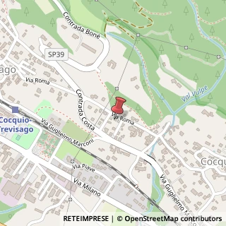 Mappa Via Roma, 54, 21034 Cocquio-Trevisago, Varese (Lombardia)