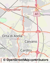 Traduttori ed Interpreti Caserta,81100Caserta