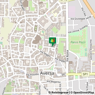 P.za Raffaele Lucarelli, 19,81031Aversa