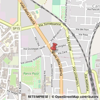 Mappa Viale della Libertà, 123, 81032 Carinaro, Caserta (Campania)