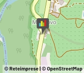 Case di Riposo e Istituti di Ricovero per Anziani,38010Trento