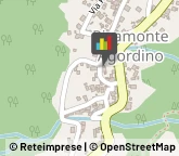 Alimentari,32020Belluno
