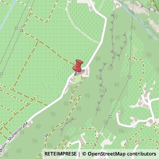 Mappa Via Molini M?hlenstrasse, 96, 39040 Salorno, Bolzano (Trentino-Alto Adige)