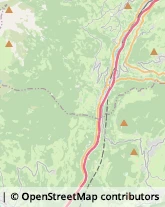 Ortofrutticoltura Varna,39040Bolzano