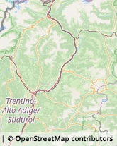 Ortofrutticoltura Campo di Trens,39040Bolzano