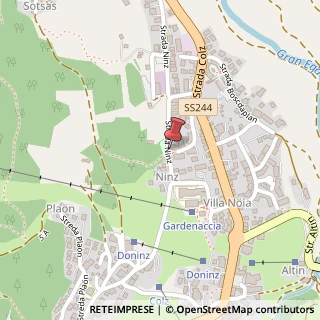 Mappa Strada Ninz, 32, 39030 Badia, Bolzano (Trentino-Alto Adige)