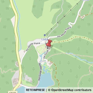 Mappa Via Guide Alpine, 4, 32041 Auronzo di Cadore, Belluno (Veneto)