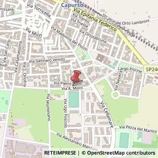 Mappa Viale Aldo Moro, 70010 Capurso, Bari (Puglia)