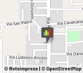 Animali Domestici - Vendita Capodrise,81020Caserta