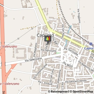 Consulenza Informatica Capurso,70010Bari