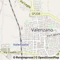 Kart Valenzano