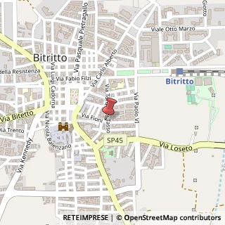 Mappa Via Fioni, 50, 70020 Bitritto, Bari (Puglia)