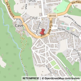 Mappa Viale Pio XII,  6, 00033 Cave, Roma (Lazio)