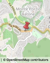 Via Frascati, 42,00040Monte Porzio Catone