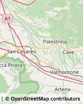 Serramenti ed Infissi, Portoni, Cancelli Palestrina,00036Roma