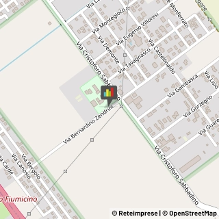 Animali Domestici - Centri Allevamento e Addestramento,00148Roma