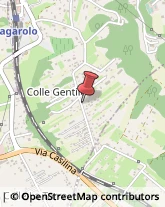 Via Colle Gentile, 91,00039Zagarolo