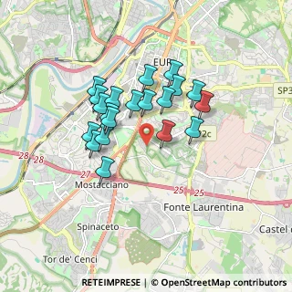 Mappa Via Camus, 00143 Roma RM, Italia (1.527)