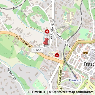 Mappa Via Enrico Fermi, 2, 00044 Frascati, Roma (Lazio)