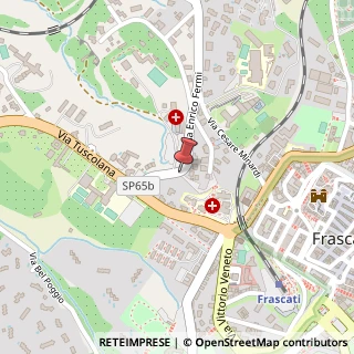 Mappa Via Enrico Fermi, 2-4, 00044 Frascati, Roma (Lazio)