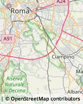 Agenzie di Animazione e Spettacolo Roma,00134Roma