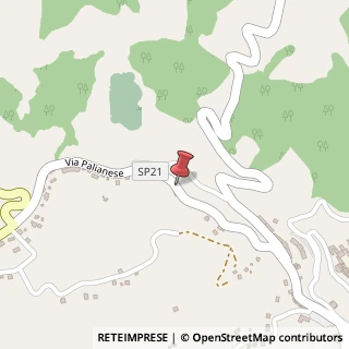 Mappa Via Palianese Sud, 40, 03018 Paliano, Frosinone (Lazio)
