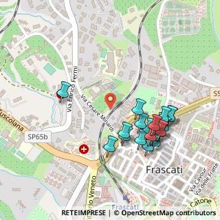 Mappa Via Cesare Minardi, 00044 Frascati RM, Italia (0.2615)