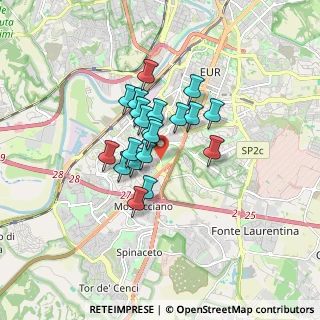Mappa Decima, 00144 Roma RM, Italia (1.2245)