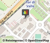 Scuole Pubbliche Roma,00144Roma