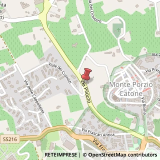 Mappa Via Pilozzo,  14, 00040 Monte Porzio Catone, Roma (Lazio)