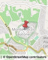 Via Quattro Novembre, 30,00040Monte Porzio Catone