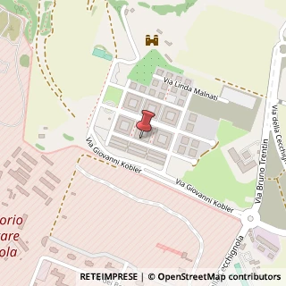 Mappa Via Beata Savina Petrilli,  63, 00143 Roma, Roma (Lazio)