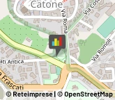 Case di Riposo e Istituti di Ricovero per Anziani,00040Roma