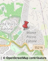 Via Romoli, 22/H,00040Monte Porzio Catone