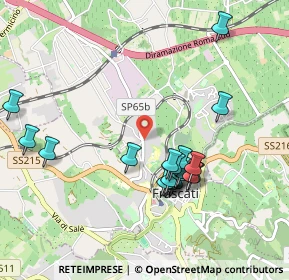 Mappa 00044 Frascati RM, Italia (1.0105)