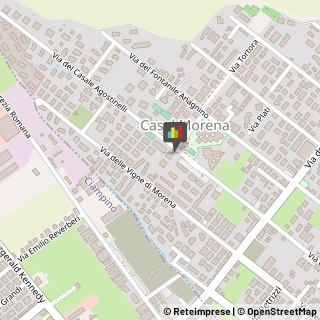 Fisiokinesiterapia - Medici Specialisti Roma,00118Roma