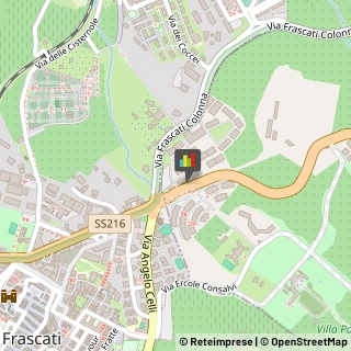 Fisiokinesiterapia - Medici Specialisti,00078Roma