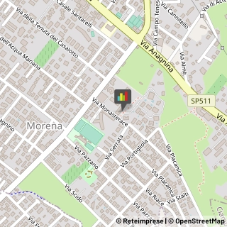 Tecniche - Scuole Private,00118Roma