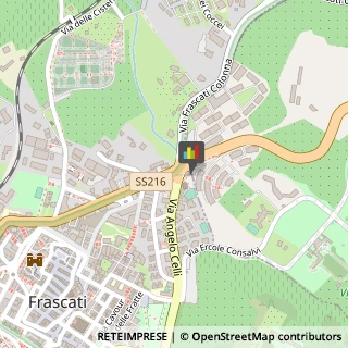 Palestre e Centri Fitness Frascati,00044Roma