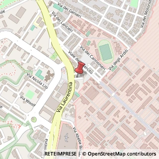 Mappa Via Laurentina, 767, 00143 Roma, Roma (Lazio)