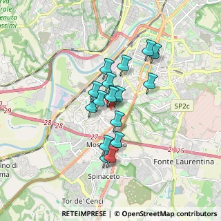 Mappa Via Caterina Troiani, 00144 Roma RM, Italia (1.31647)